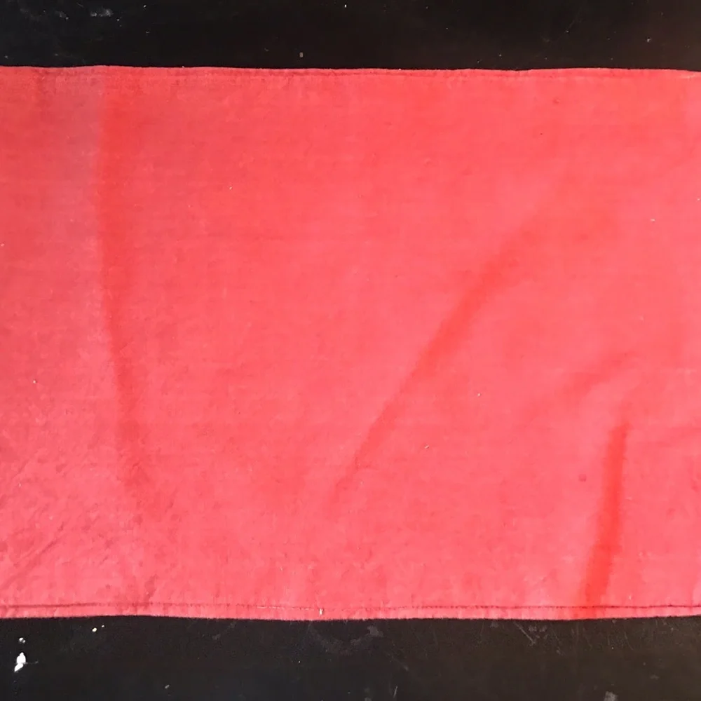 Crate & Barrel Thanksgiving Pumpkin Placemats